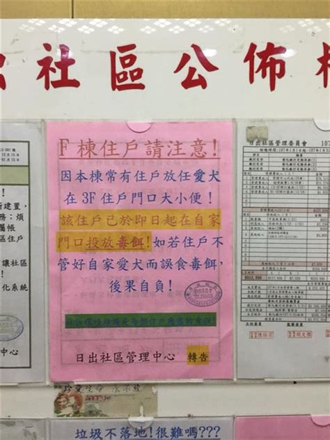 家門口狗大便|家門口全是屎尿！鄰居放任愛犬大小便 住戶：要投放毒餌 